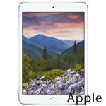 Ремонт Apple iPad mini 3 в Ижевске