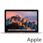 Ремонт Apple MacBook Mid в Ижевске