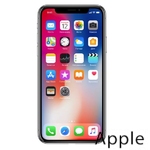 Ремонт iPhone X(10) в Ижевске